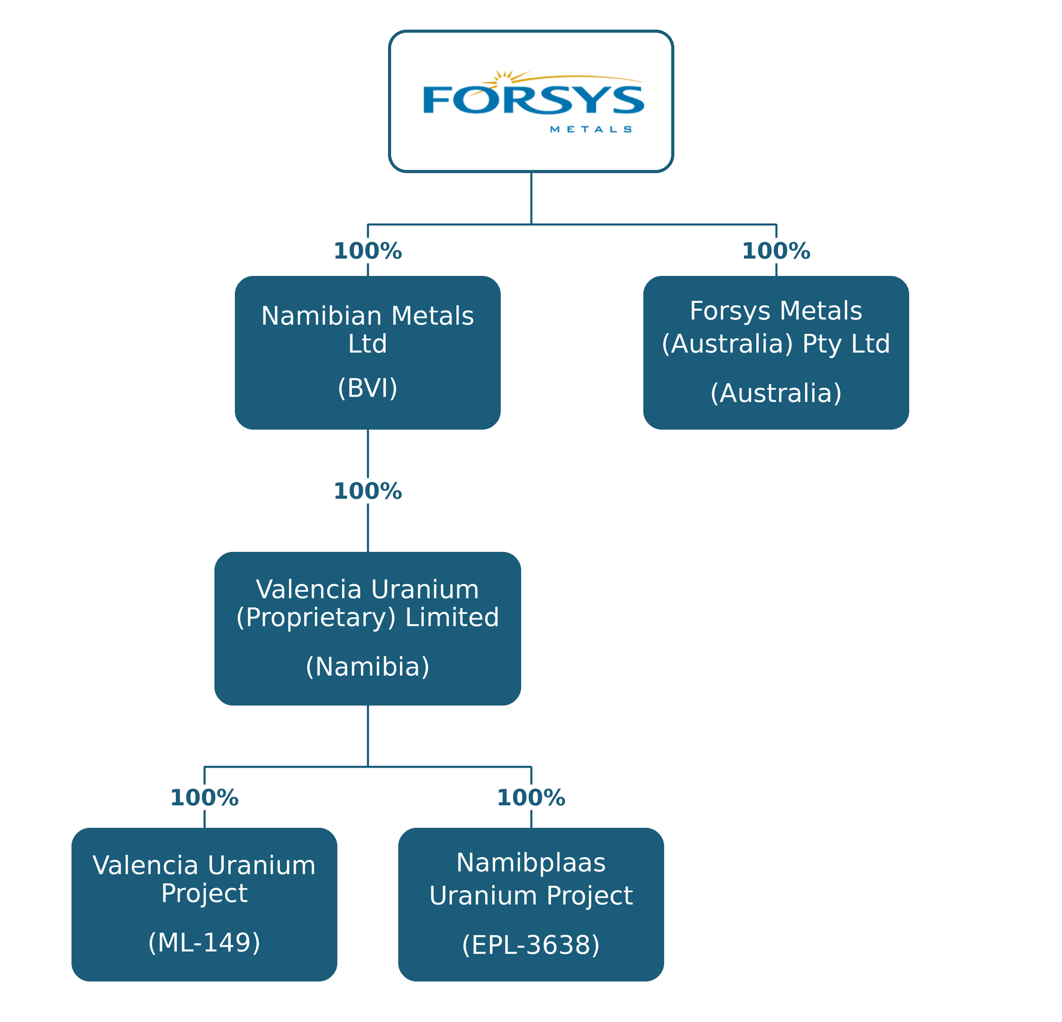 Corporate Structure Diagram