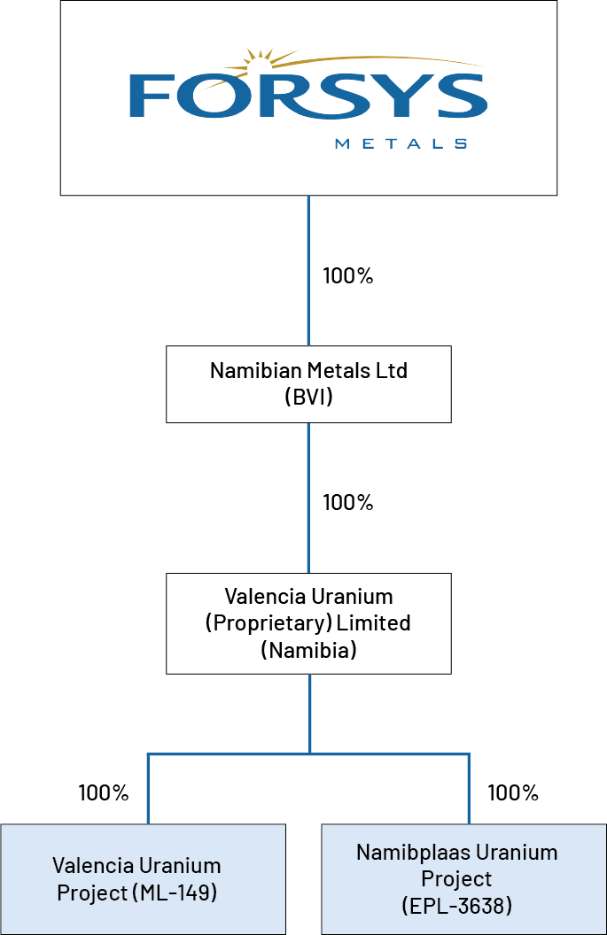 Forsys Corporate Structure